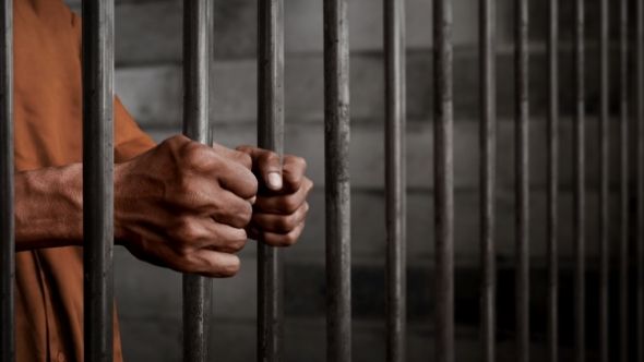Imponen tres meses de prisión preventiva a cuatrero en Hato Mayor