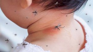 El dengue nuevamente sobre el tapete; niños afectados en aumento